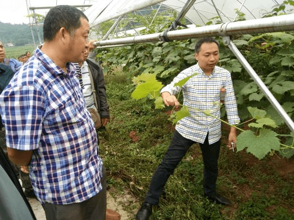 "持续关注,下期继续哟~end往期推荐蒋天宝任资阳市委书记安岳县召开