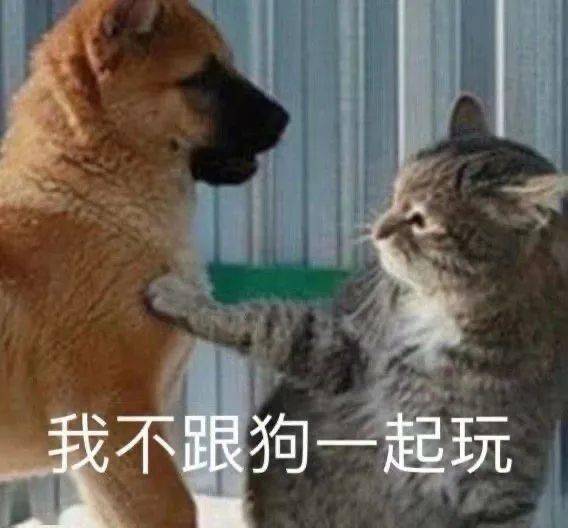 a72f85b0d33b4928b465f6cfaa925cbf.jpeg