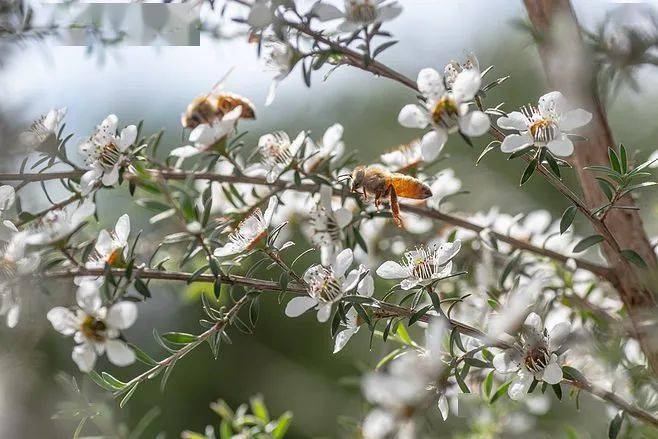 癌症|总是咳嗽、咽喉肿痛、有痰难咳尽？给肺部做个清洁，自由深呼吸！