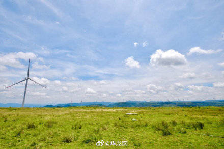 日子|百家媒体贵州行丨走进龙里油画大草原 漫游采风享欢乐时光