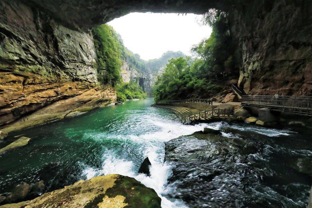 夏季限定款!那些透心凉的柳州"绿宝石"