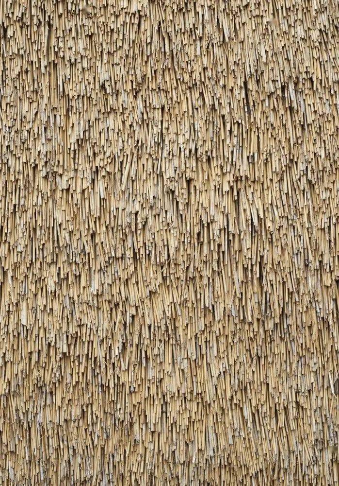 越高级越朴素你以为的茅草屋