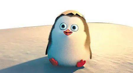 活动招募拯救企鹅小英雄集结令