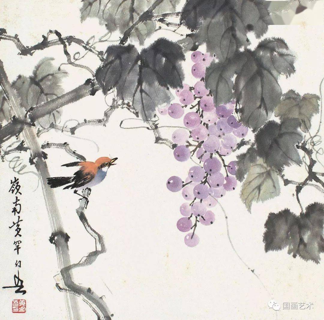 现当代名家黄幻吾笔下的葡萄小鸟
