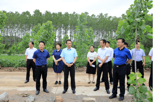 赣榆区区长吕洁简介图片