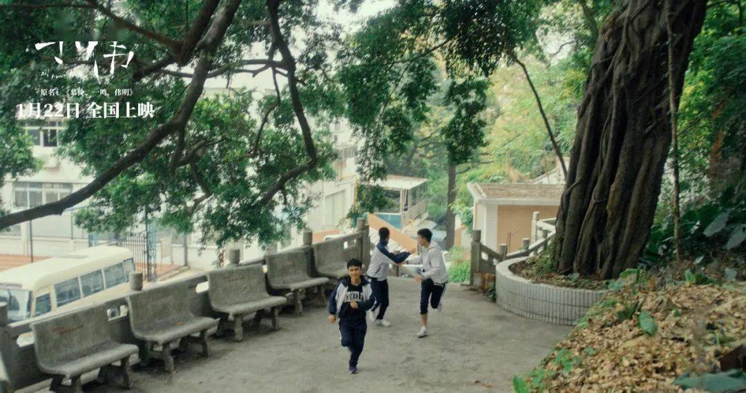 内地|口碑好票房惨，上半年院线“遗珠”看了吗？