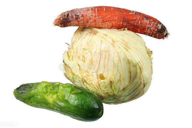 而且腐烂变质的蔬菜中会产生黄曲霉毒素,如果经常吃这种坏掉的蔬菜