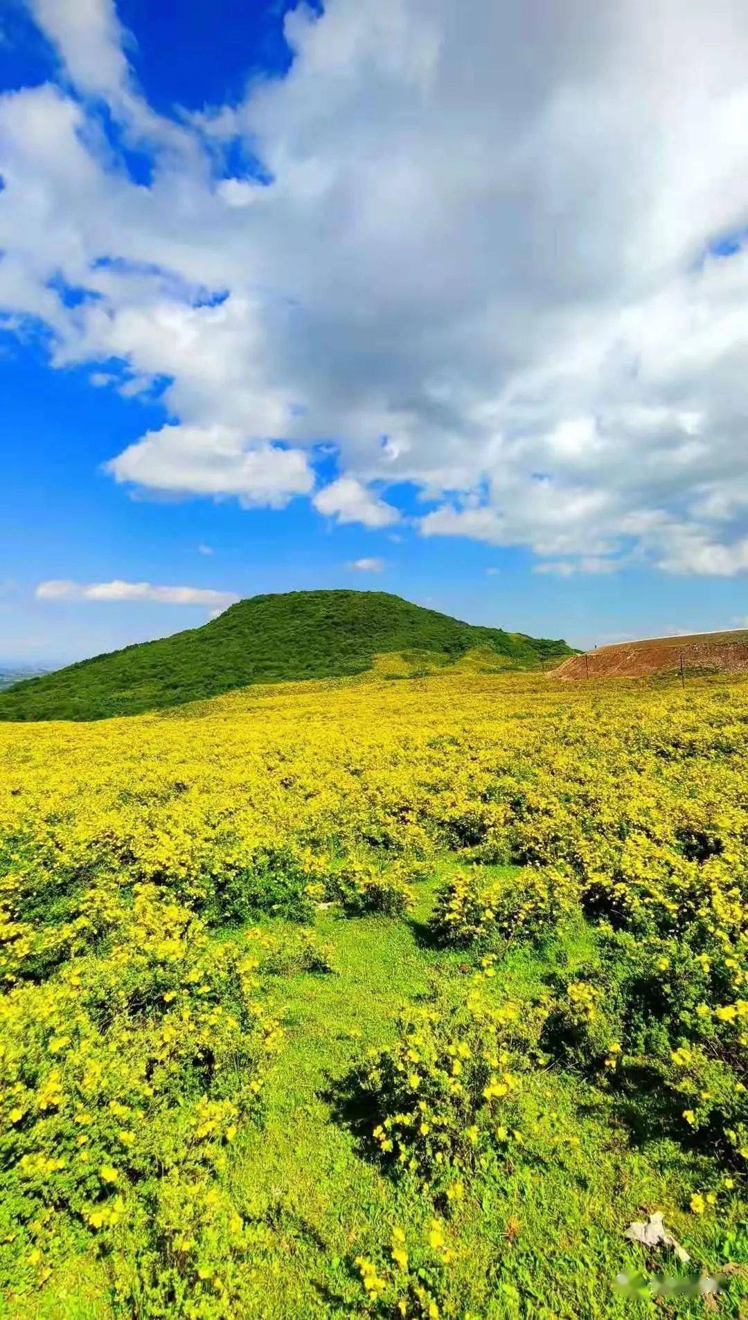 刚刚网友在积石山拍了一组照片刷爆朋友圈