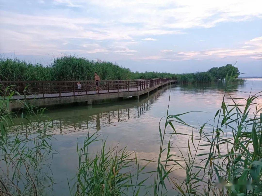 槐林镇官塘村醉美湿地显湿意