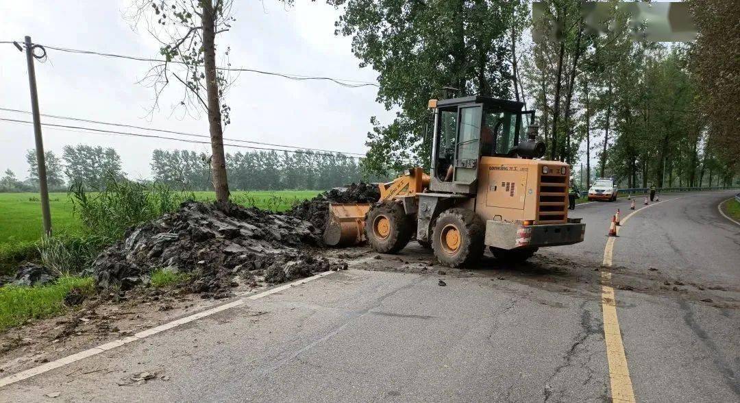 蔡甸以下几处道路存在安全隐患,公路局路政大队及时消除隐患!_行人