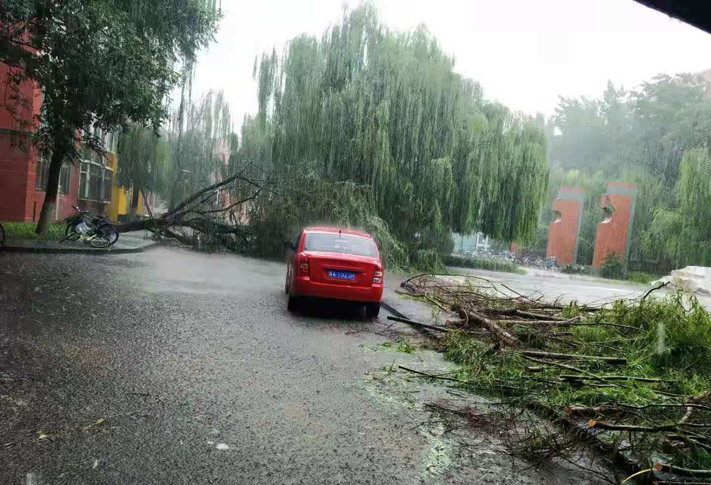 郑州大学暴雨图片