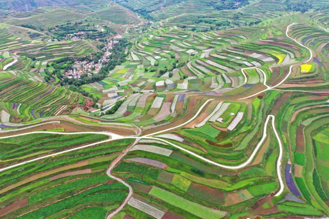 陇南要闻看宕昌这样深耕细作特色产业