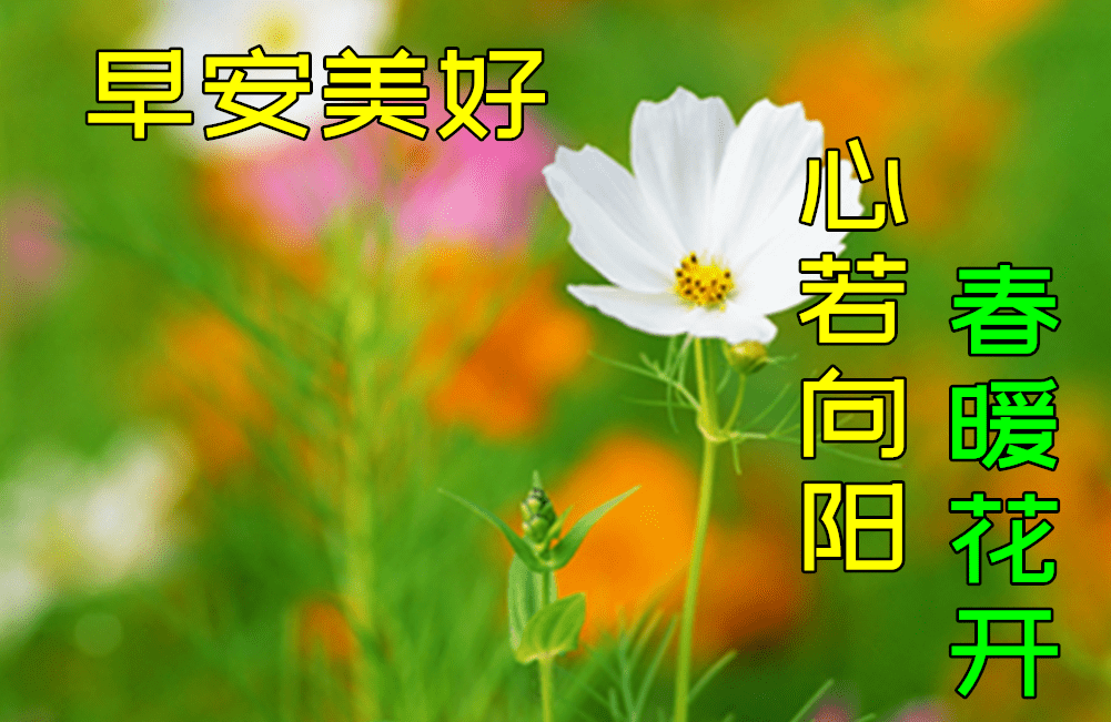 c590a78a8fdc47e58c53f9b29f1a021e.png
