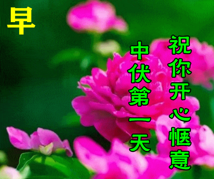 7月21日中伏最漂亮早上好动态表情图片大全,早晨好动图美图大全_祝福