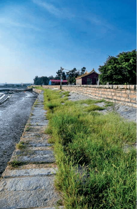 远远望去,镇海堤宛若一条长龙盘踞海边,守望着木兰溪入海口的壮美与