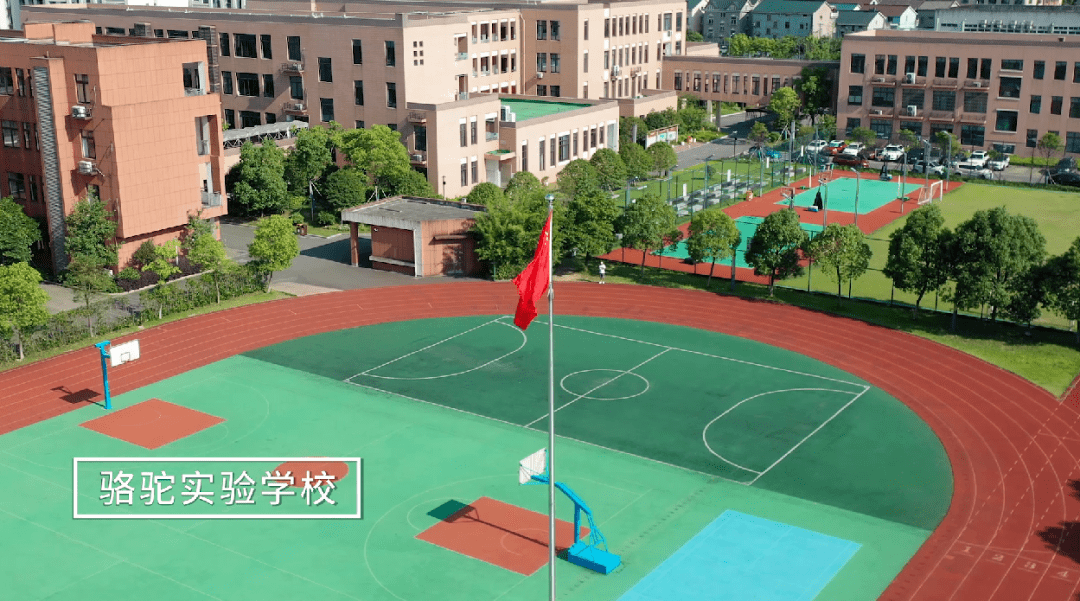 培菊幼兒園等;已開工靜遠小學,仁愛教育集團九龍湖分校,蛟川實驗小學