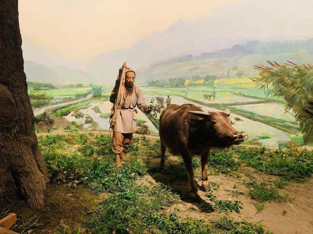 的中国农业历史,展示古代农业的"四大发明",近代农业的特点和发展脉络