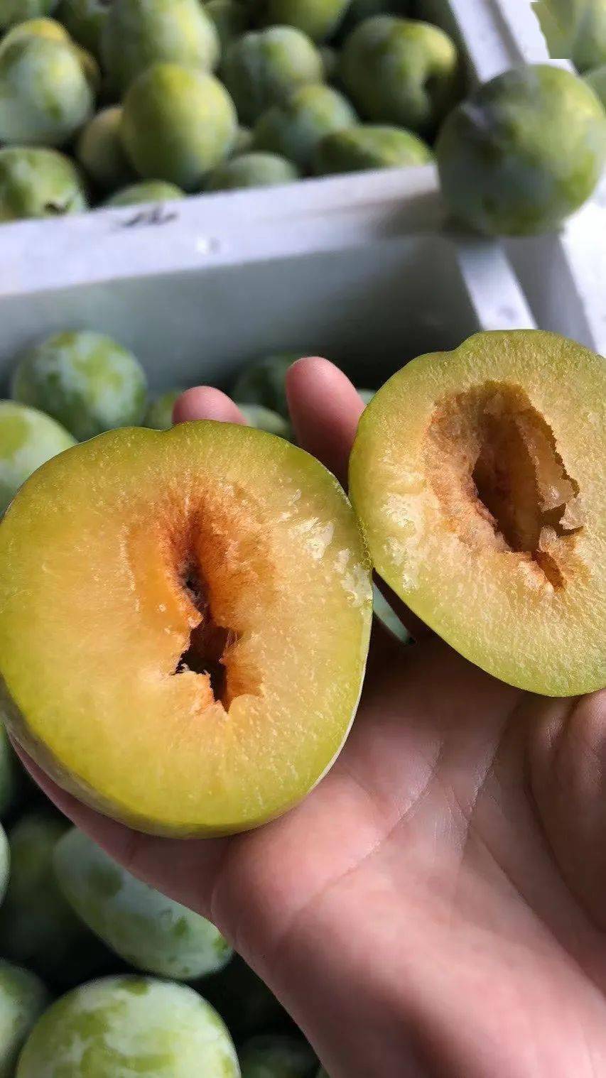 特产福建古田油奈酸甜爽口这是吃过就忘不了的好味道