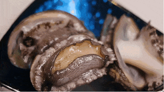 556_312gif 动态图 动图