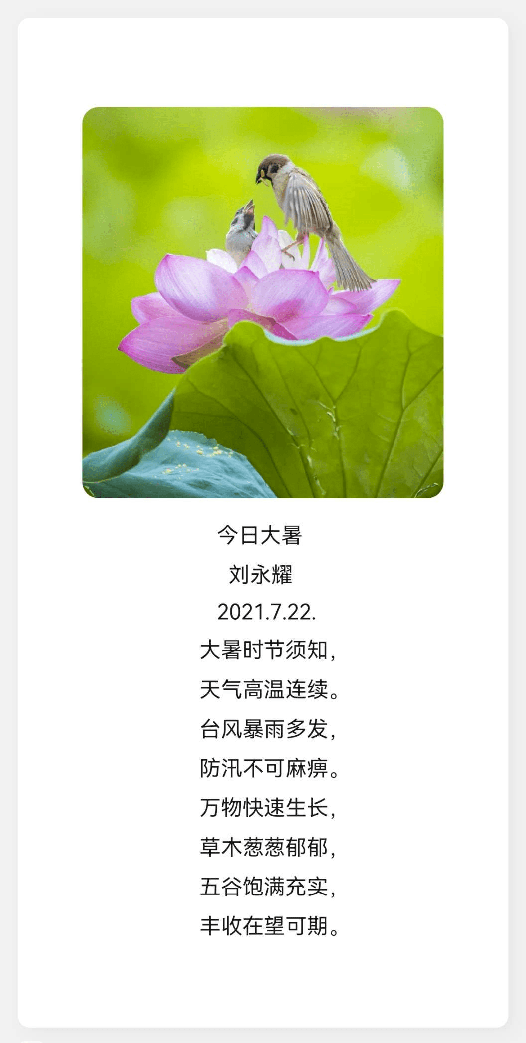 大暑养生