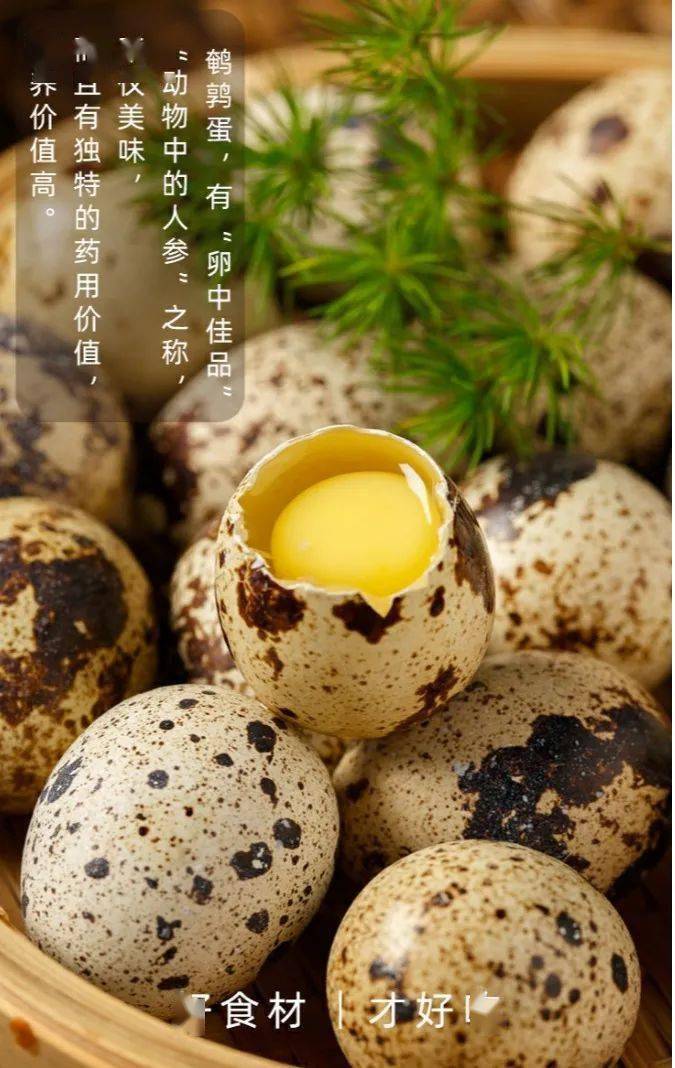 9!带鱼罐头 鄱阳湖鲜碾米 盐焗鹌鹑蛋 山楂蜜饯 .无限回吃!超值速抢!