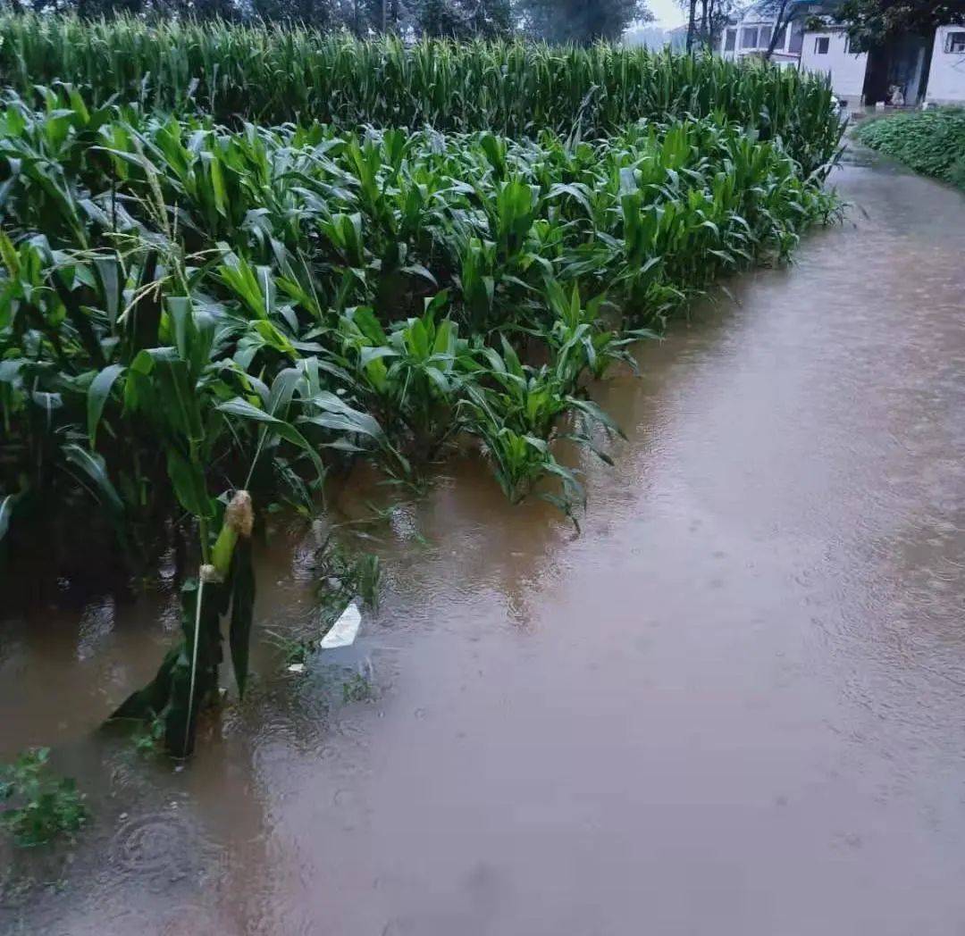 暴雨袭城:被低估的红色预警