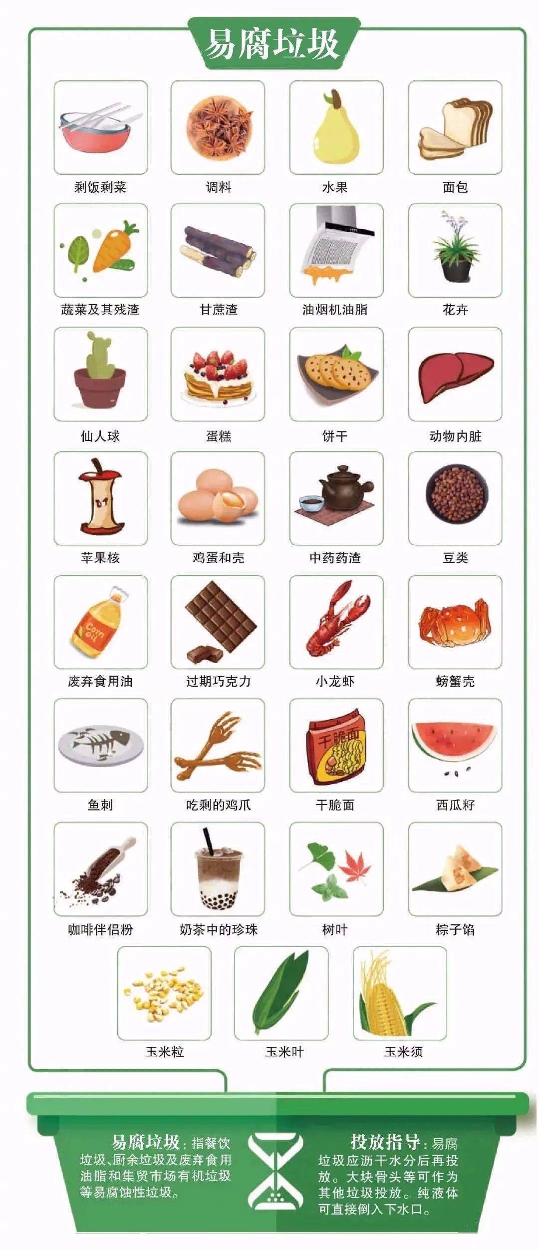 垃圾分类科普教你快速认清垃圾分类的真面目