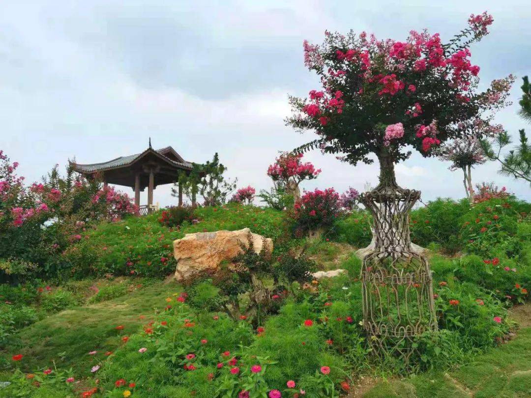 正式开园!全国最大_紫薇