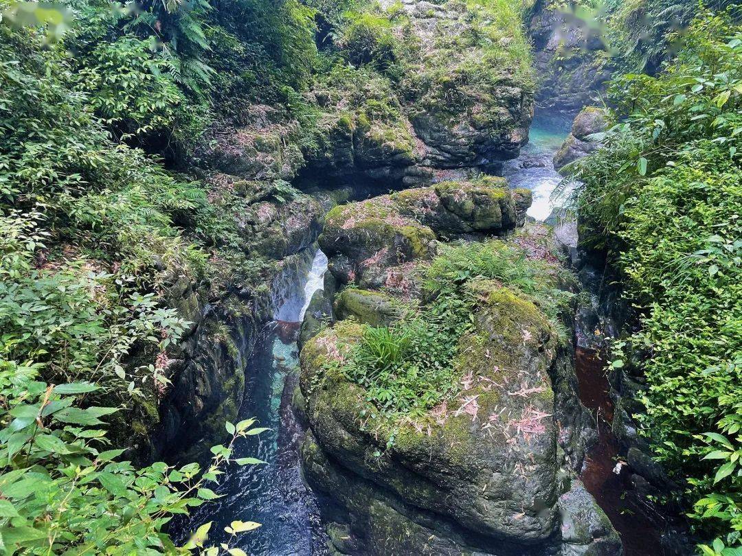 斗龙坝前有著名景点——双桥清音将峨眉山与日本的渊源传为佳话被著名