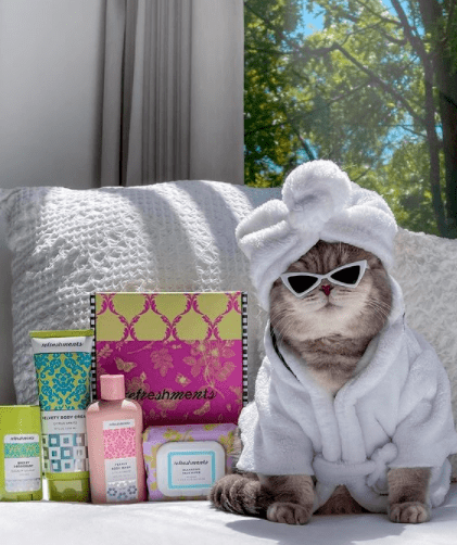 "不过即使走红了,本森也还是那只平静有耐心的小猫.