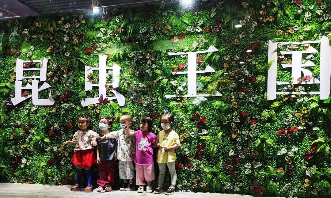 『昆虫王国漂流季·大型昆虫艺术科普展』寻虫记·昆虫艺术科普展 门票单