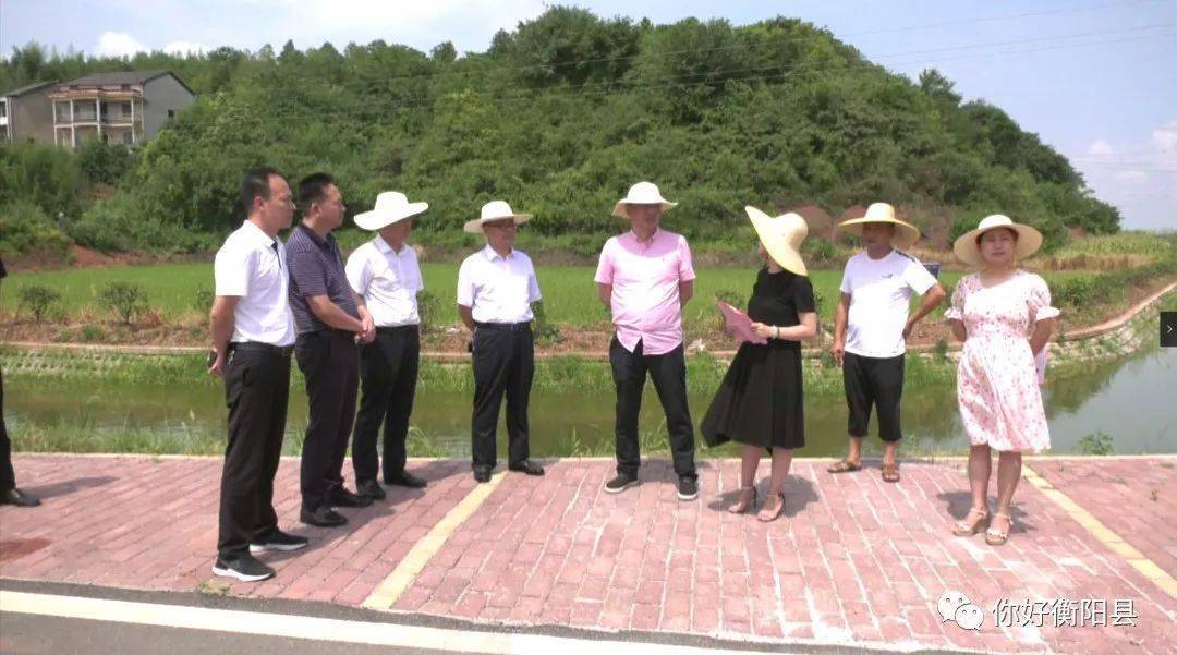 把好事办好!衡阳县已建成56万余亩高标准农田