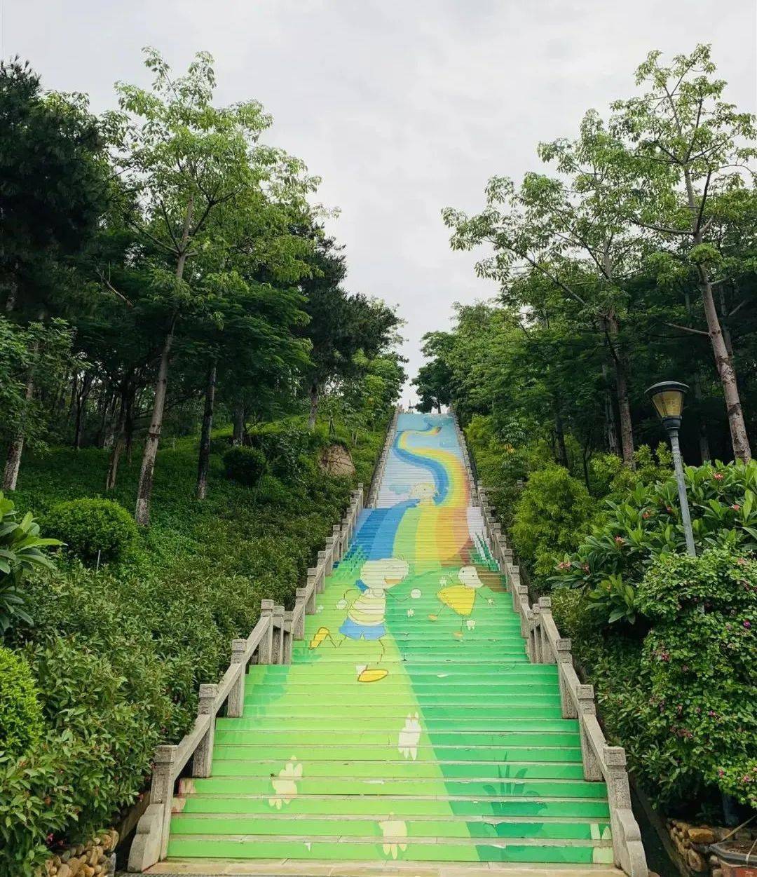 厦门这个开满映山红的云梯就在这里~