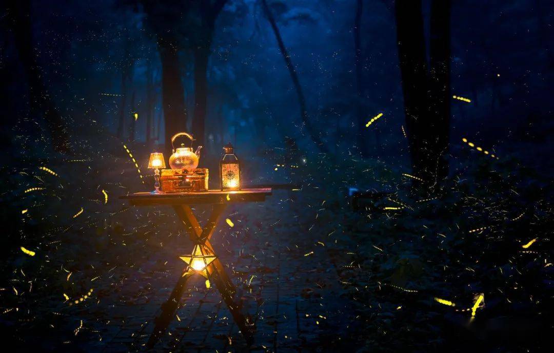 他们拍的萤火虫太美了_摄影