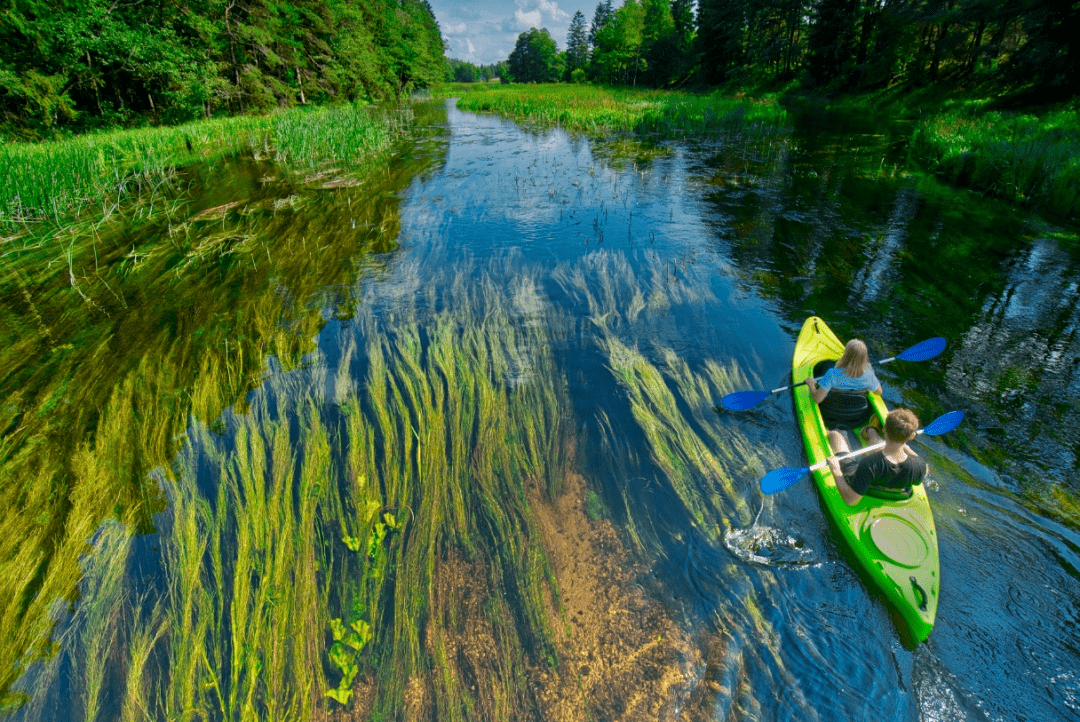 展商推介来波兰寻找健康与美貌