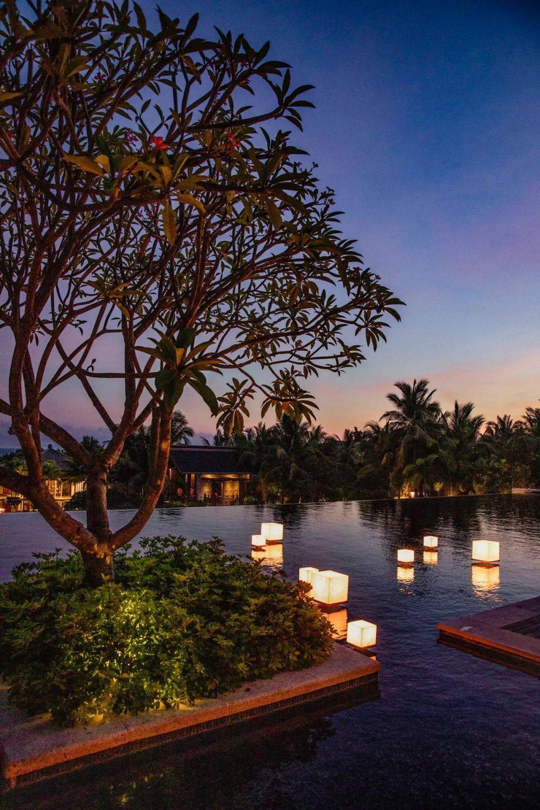 从三亚到上海,徜徉capella的时光里