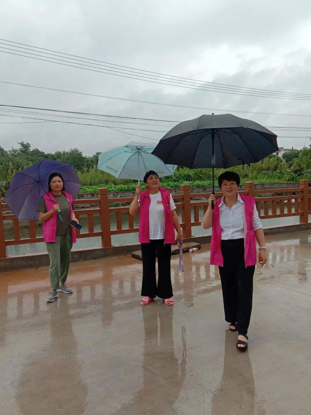女埠街道妇联赤溪街道妇联游埠镇妇联黄店镇妇联香溪镇妇联柏社乡妇联
