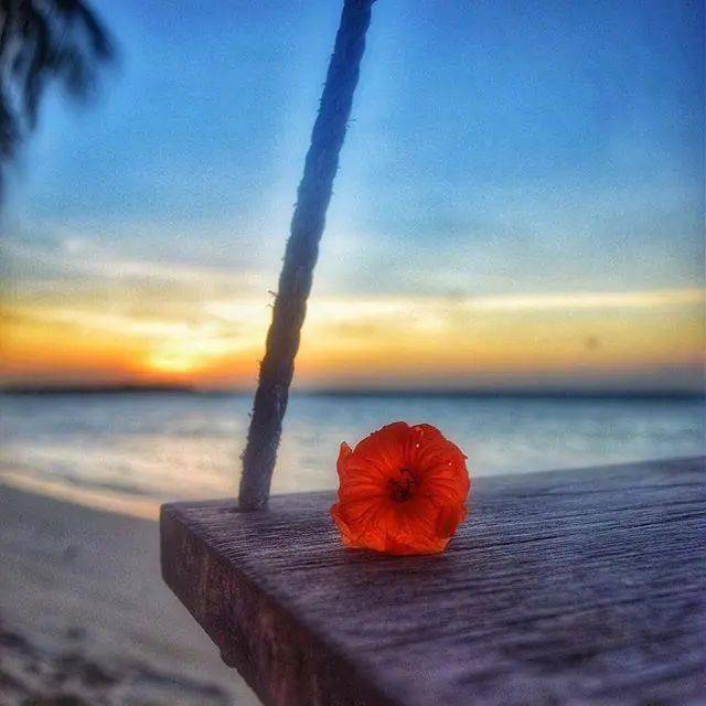 能引起共鸣的人生感悟说说有深度有品位