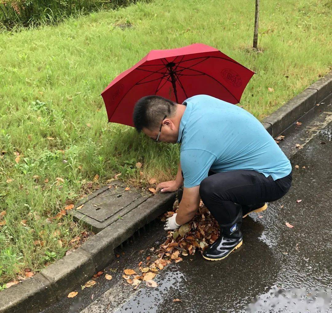 棚內器材轉移並拆除校門口雨棚防颱防汛待問幼兒園開展防颱防汛大排查