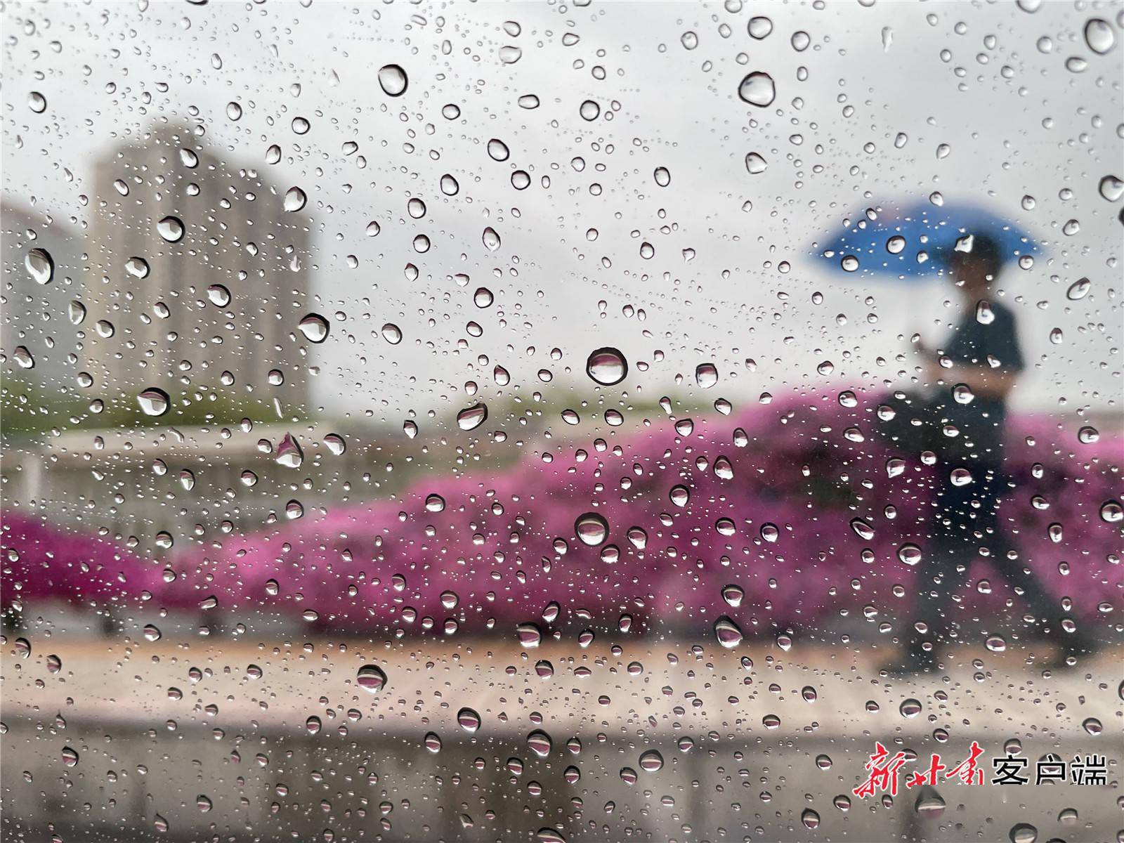 甘肃兰州暴雨图片