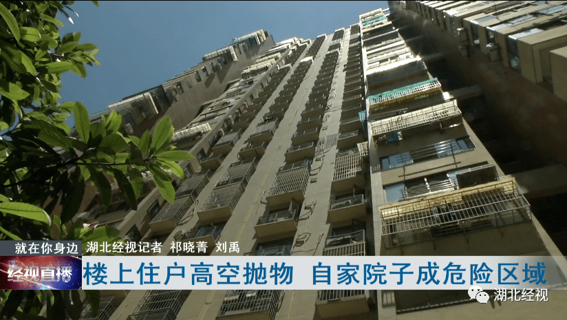 死老鼠,避孕套,石头.楼上高空抛物,楼下自家院子成危险区