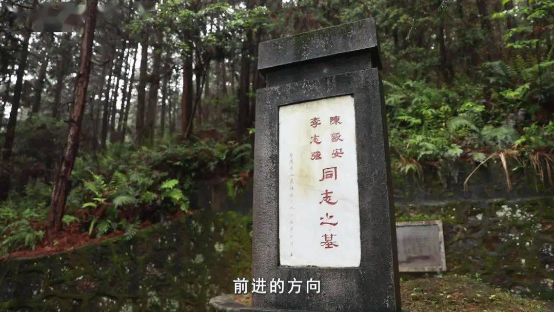 学习百年党史 争做环保铁军_李志强