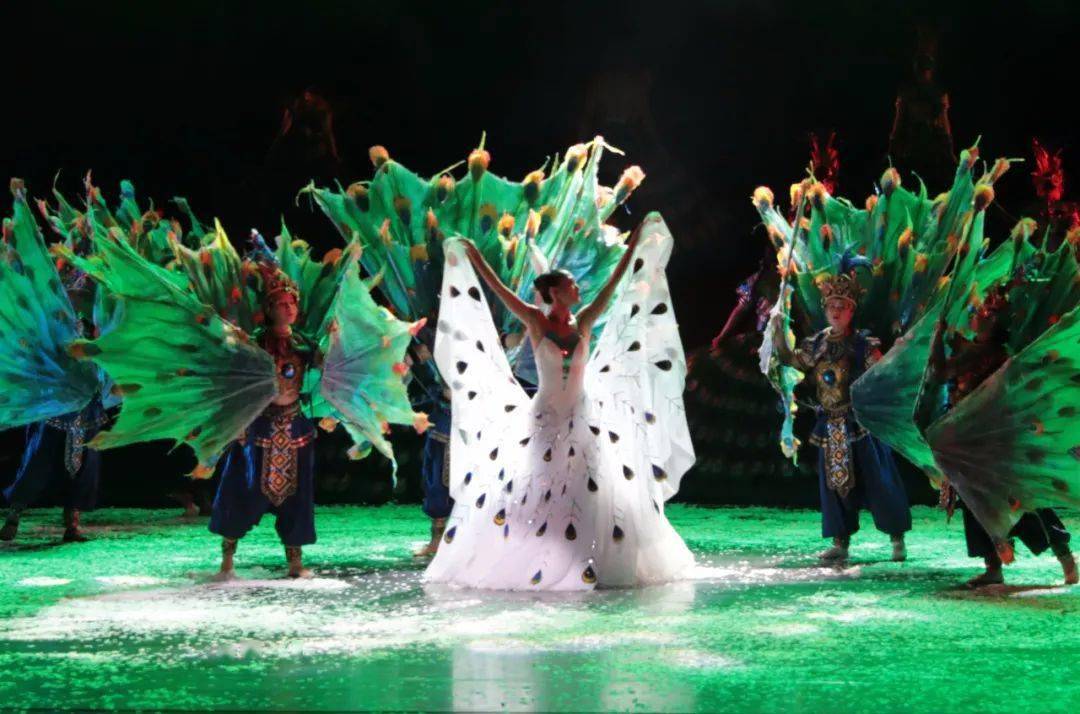 以舞韵之美传承文化之魂访新一代孔雀女王杨舞