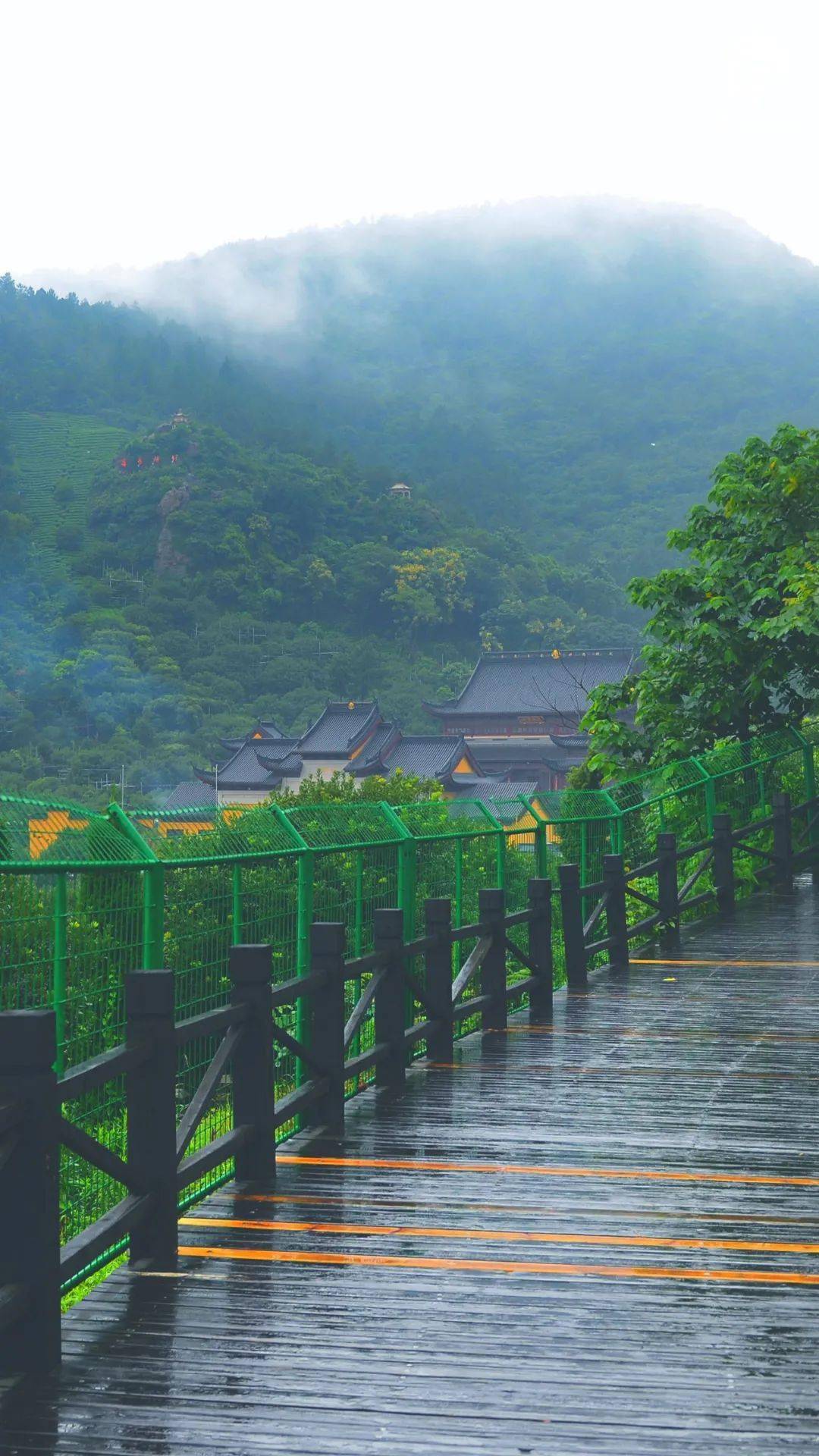 天青色等烟雨树山在等你