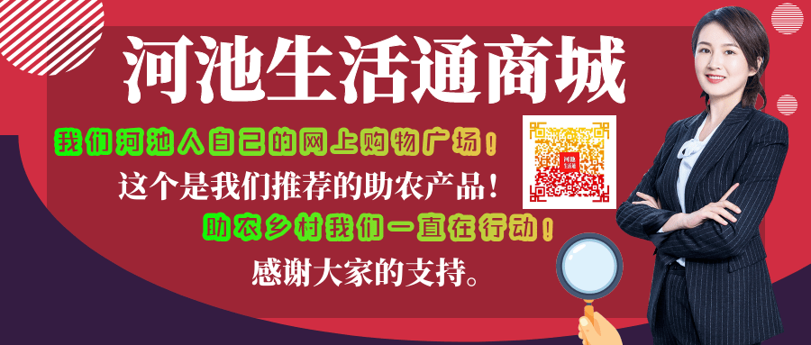 河池招聘信息_河池日报数字报刊