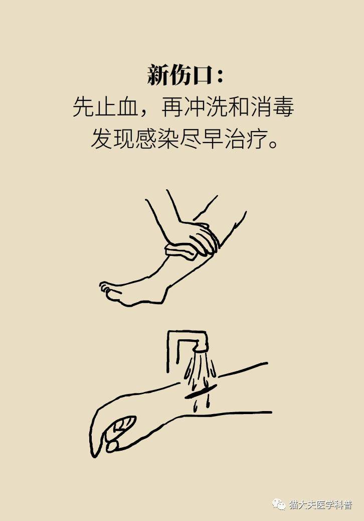 金奖|暴雨灾后如何防病？记住这9句话