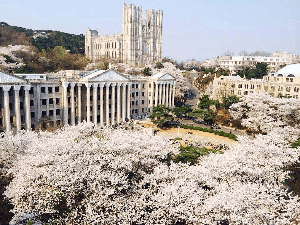 韩国庆熙大学速来了解
