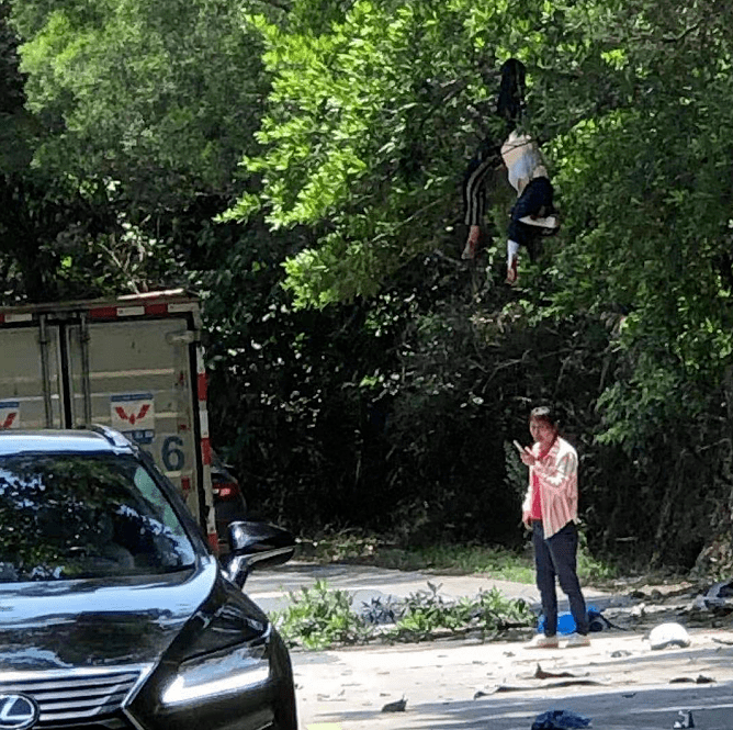 慘烈車禍!一女子被撞飛掛到樹上