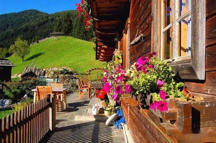 我想在这样的地方生活你也一定喜欢