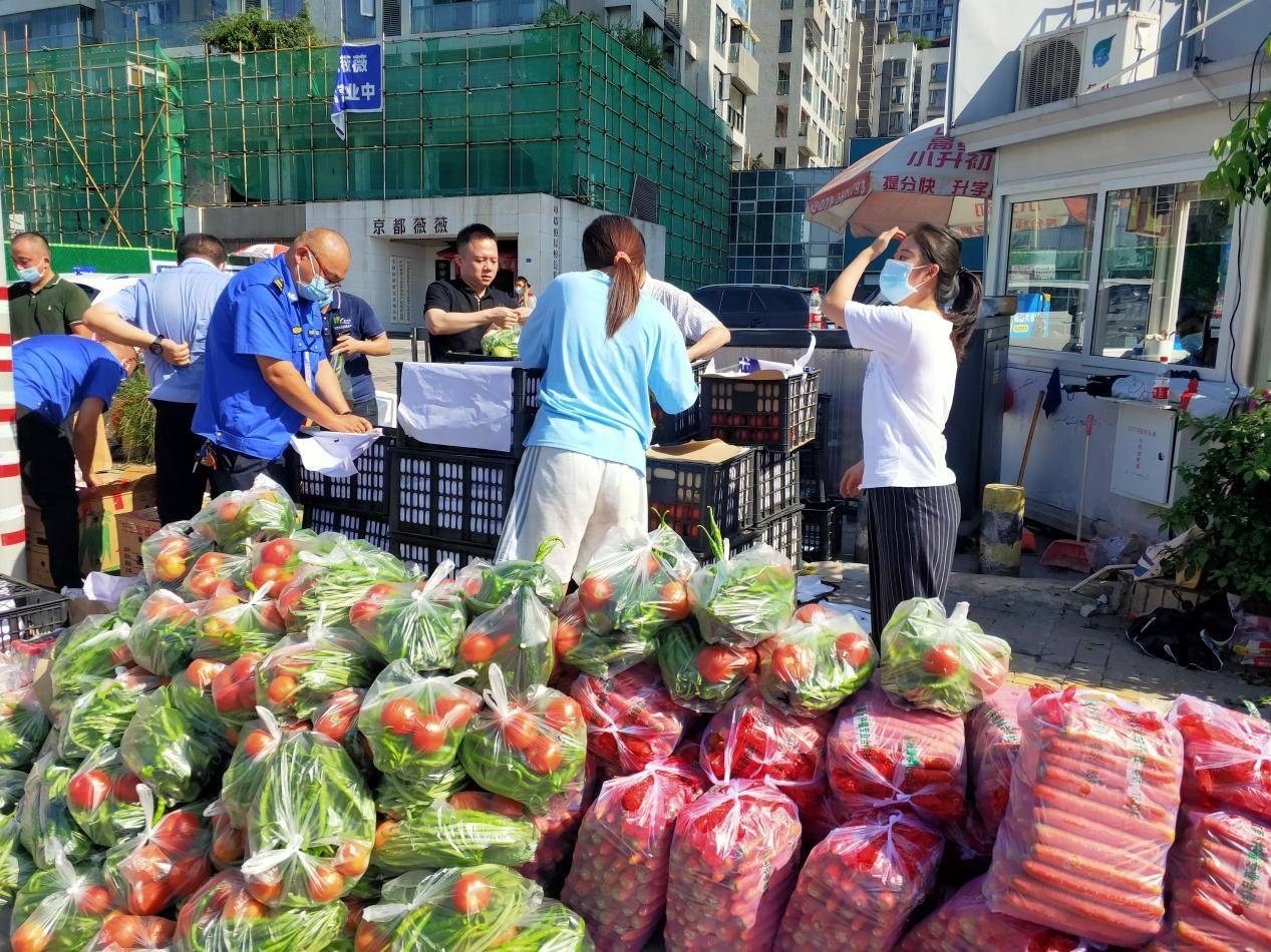 成都青羊向受疫情防控影响居民分发蔬菜12000斤
